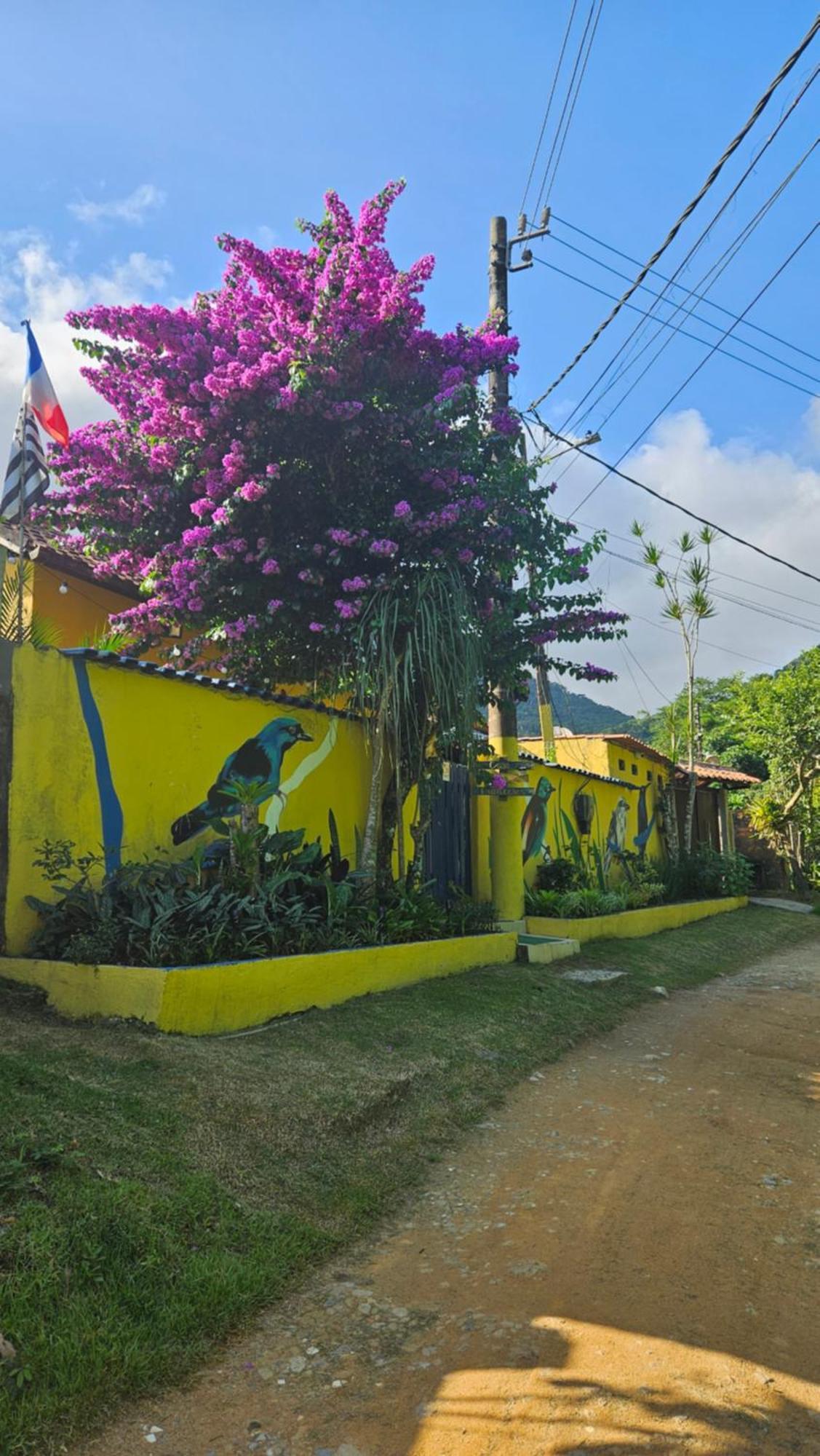 فيلا Casa Dos Franceses Ilha Grande المظهر الخارجي الصورة