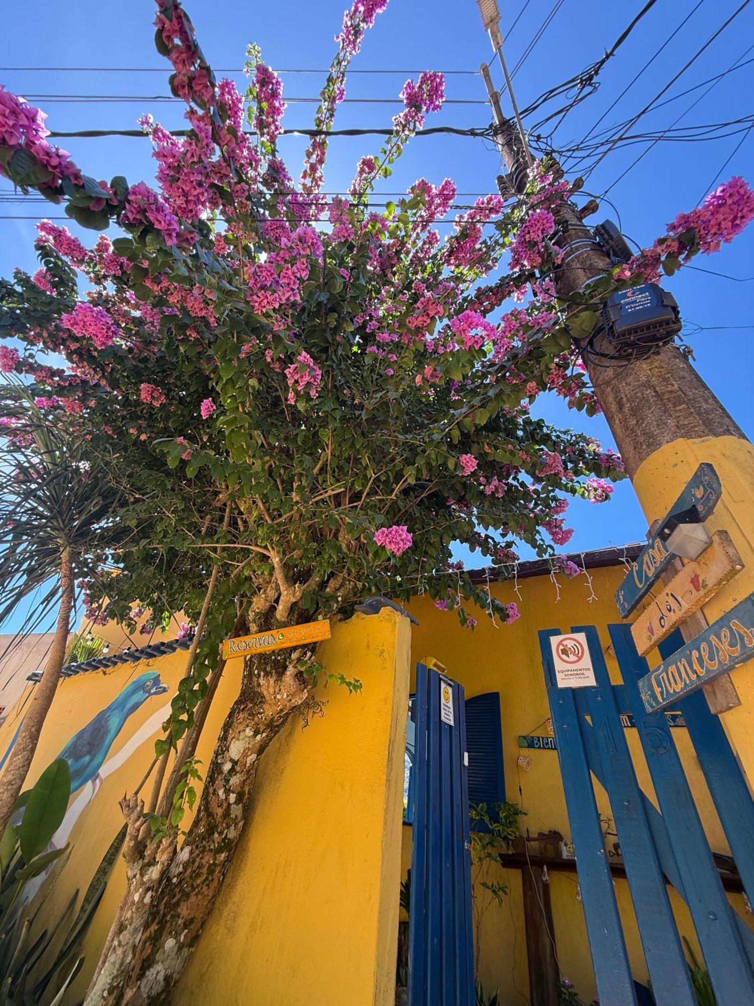 فيلا Casa Dos Franceses Ilha Grande المظهر الخارجي الصورة
